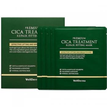 WELLDERMA Premium Cica Treatment Repair Fitting Mask Pack (4 Gel Type sheets)
