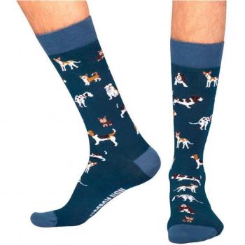Jimmy Li Hundesocken M