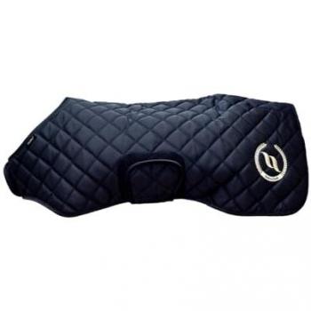 Veste Haze pour Chien Back On Track