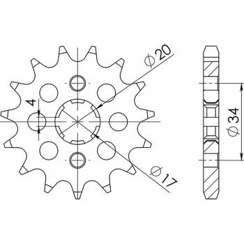 Sprocket Pignone 428 con 16 Denti – Distributore 26200