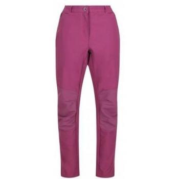 Questra IV Regatta Pantaloni da Escursionismo Femminile