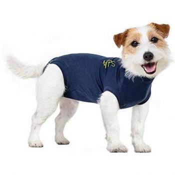 MPS Medical Pet T-Shirt für kleine Hunde – Blau – S