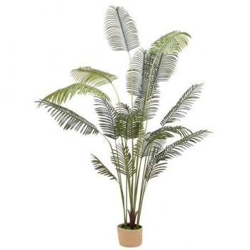 Frankystar Kentia 210 - Pianta Decorativa per Interni ed Esterni