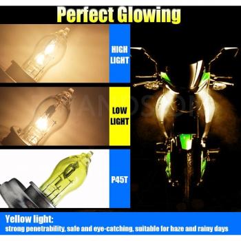 Ruiandsion Motorcycle Halogen Bulb 2-Pack, H6M P15D PH11 HS5 P45T, 30W/35W 55W/66W 40W Filament, Xenon 4300K 6000K