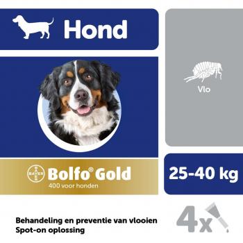 Bolfo Gold 400 hond 4 pipetten