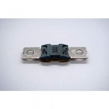 Zekering 300A MEGA (48V)