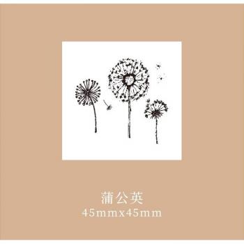 Acrylic Transparent Plant Seal for DIY Crafts