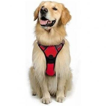 Front-Attach Red No-Pull Harness XL with Reflective Vest