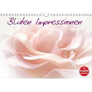 Blüten Impressionen