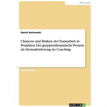 Chancen und Risiken der Teamarbeit in Projekten. Der gruppendynamische Prozess als Herausforderung im Coaching