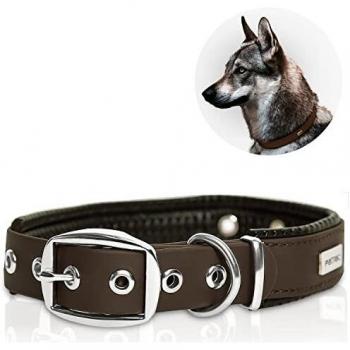 Collier résistant à l'eau et aux intempéries pour Chien PetTec Comfortable