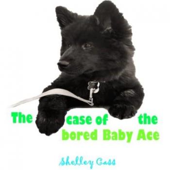 The Case of the Bored Baby Ace: Book Two in the Sleep Sweet Series