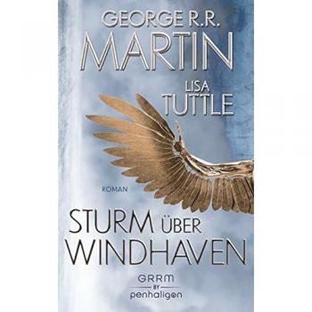 Sturm über Windhaven: Roman