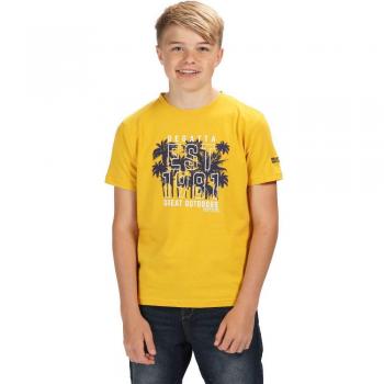 Camiseta Gráfica Regatta Bosley II Coolweave, Infantil, Amarillo (Old Gold), 3-4