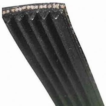 Cinghia originale Indesit 1205J5/1208J5 - Ref: C00141664 per lavatrice