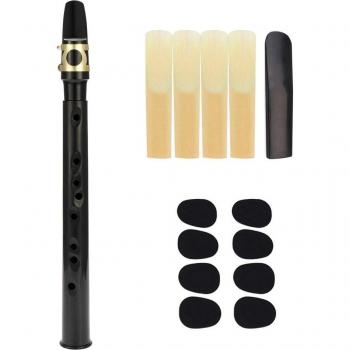 Mini Saxophone Portable avec Anches