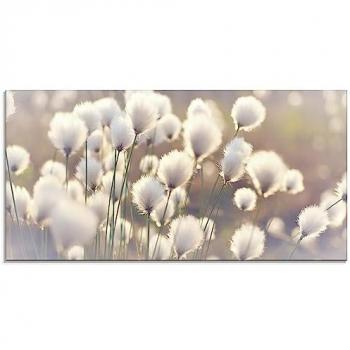 Glasbild ARTLAND Wollgraszauber im Moor, beige (naturfarben), Bilder, B/H: 100cm x 50cm, Glasbild Gräser Querformat, in verschiedenen Größen