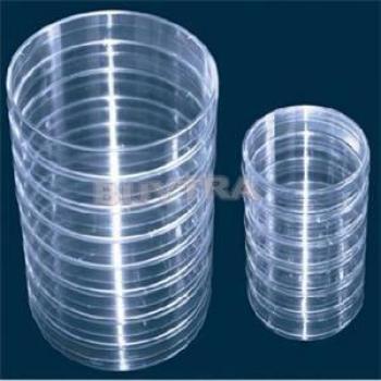 Sterile 55mm x 15mm Clear Petri Dishes with Lids - 10 Count
