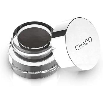 Chado Ardoise Brow Gel 2.5g