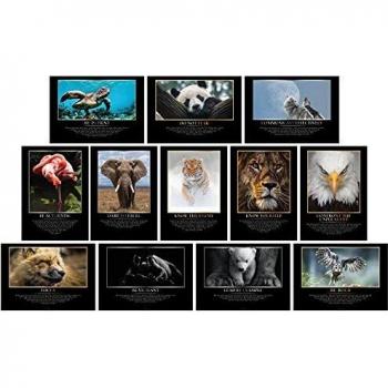 GREAT ART® Edle Karten Motivation – Set mit 12 Stck – Stilvolle Tierbilder