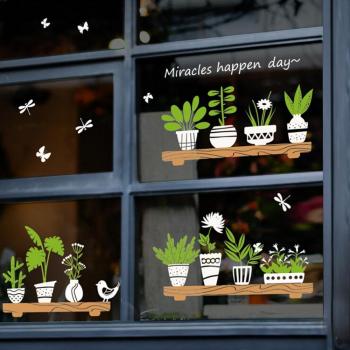 Decoración de Ventana con Planta