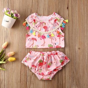 Newborn Baby Flamingo Sleeveless Top and Shorts
