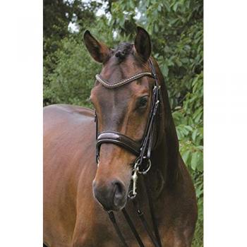 Hans Melzer Kandare KRUSEMARK Pony