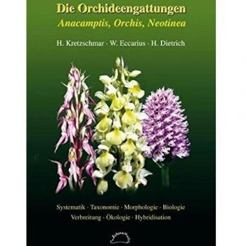Die Orchideengattungen Anacamptis, Orchis, Neotinea: Phylogenie, Taxonomie, Morphologie, Biologie, Verbreitung, Ökologie, Hybridisation