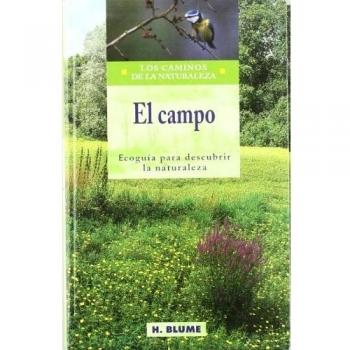 Campo