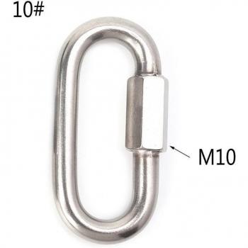D Shape Buckle Carabiner Keychain