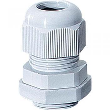 Connettore M12 AKM 12