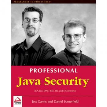 Professional Java Security