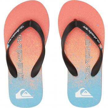 Quiksilver Chanclas Molokai Art II