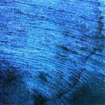 Multicast Dynamics Aquatic System (CD) Album