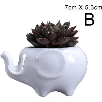 Conteneur décoratif éléphant pour succulentes