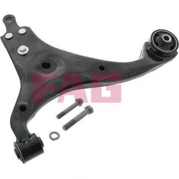 FAG Control Arm Assembly 821 0679 10