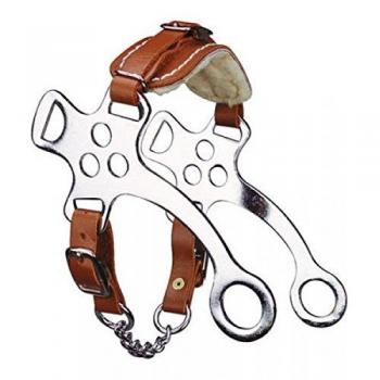 Ekkia Hackamore Cama Corta Cuero Dorado