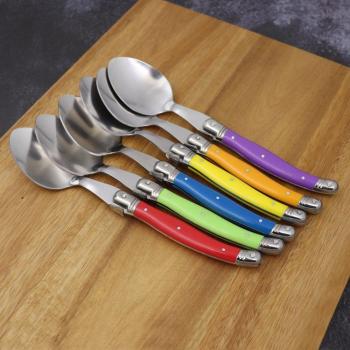 Laguiole Stainless Steel 22cm Big Spoon Set - 6 Pcs