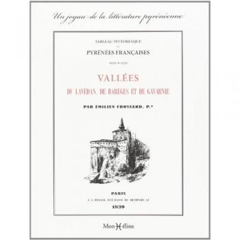 Tableau pittoresque des Pyrénées françaises : vallées du Lavédan, de Barèges et de Gavarnie