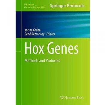 Hox Genes