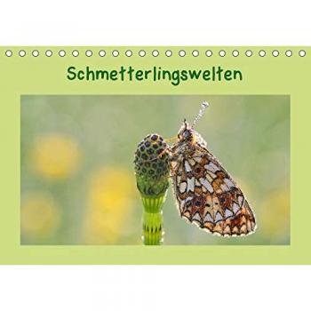 Schmetterlingswelten