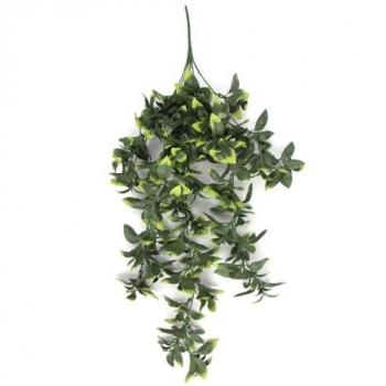 Fire‑Resistant Indoor Pothos 71 cm