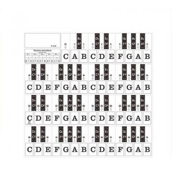 Decalcomanie Sonore a Tema Pianoforte B/N