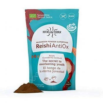 Bio-Hericium Superfood Pulver 100 g