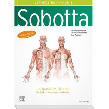 Sobotta Lernposter Anatomie: Muskeln - Knochen - Gelenke